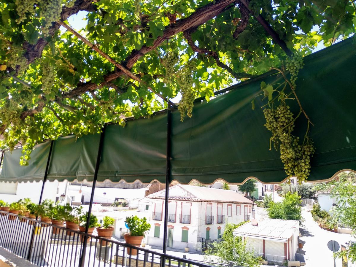 Pension Mari Graena Εξωτερικό φωτογραφία
